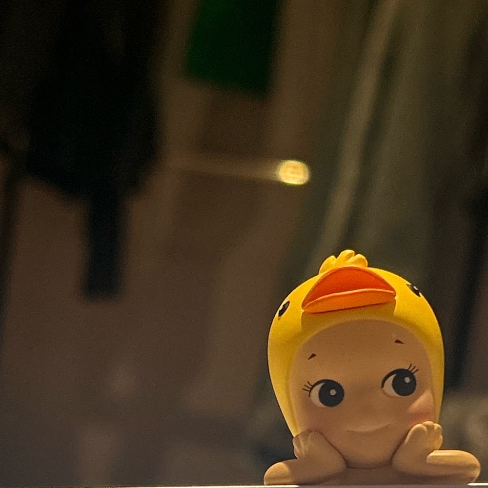 Meet your Posher, Lourdes